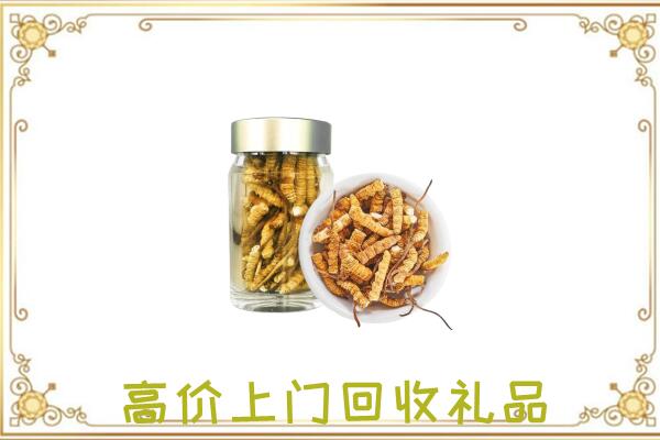 石嘴山周边回收虫草